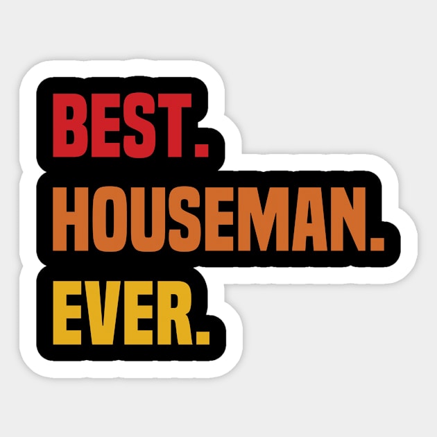 BEST HOUSEMAN EVER ,HOUSEMAN NAME Sticker by Smeis